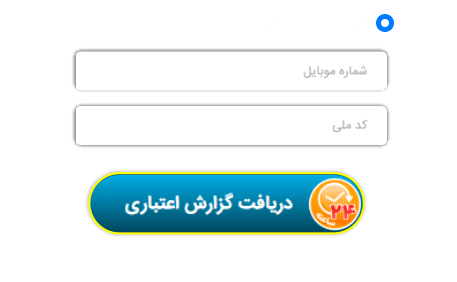 سامانه اعتبارسنجی آیس/ رتبه اعتباری, گزارش اعتباری